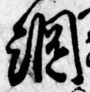 已定位綱