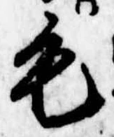 位置定マレル毛