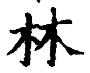 Character 林