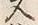 “也”字
