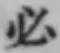 Character 必