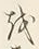 Chữ を