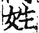 文字姓