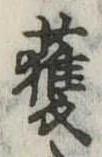 已定位獲