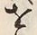 文字 儀