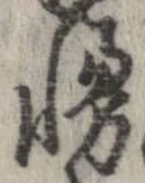 Đã định vị 慢
