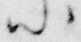 「罷」字