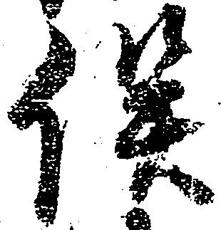 已定位俣
