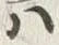 文字路