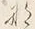 𡨸な