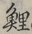 文字鯉