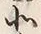Character 西