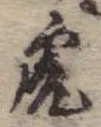 已定位虎