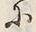 Character 故