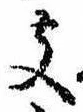 位置 確認된 支