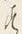字す