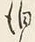 文字 泊