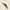 文字う