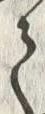 “隔”字