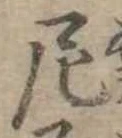Đã định vị 尼