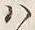 字思
