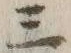 文字 此