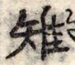 Đã định vị 雉