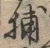 Đã định vị 捕