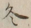 文字冬