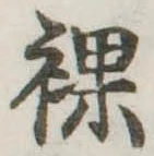 裸の位置