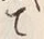 字織