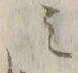 「ミ」字