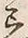 Chữ 着