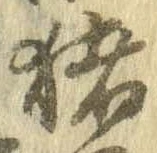 已定位猪