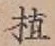 文字 植