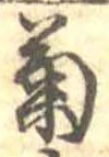 已定位菊
