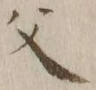 “父”字