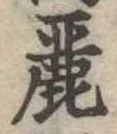 麗の位置