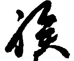 位置定マレル族