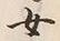 文字 女