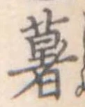 已定位薯