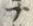 “魚”字