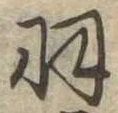 已定位羽