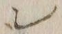 “ン”字