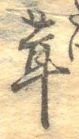 位置定マレル茸