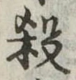 位置 確認된 殺