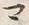 “マ”字