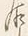 Character 来