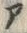 字ブ