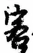 Đã định vị 客